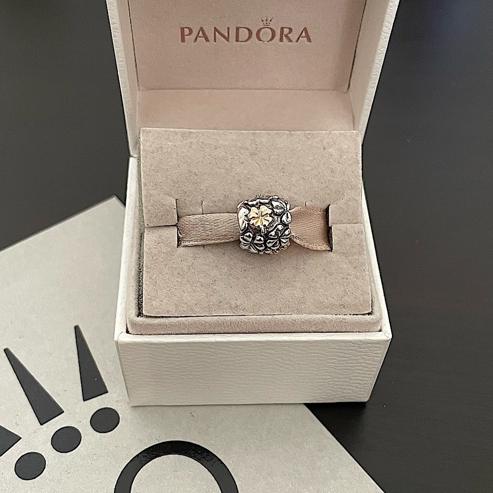 Pandora 14k silver 20th anniversary charm
